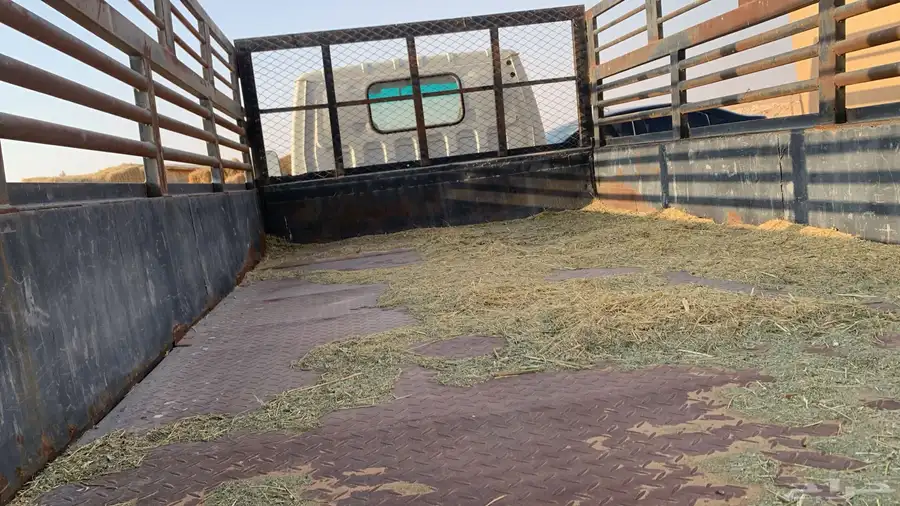دينا صيني للبيع 4
