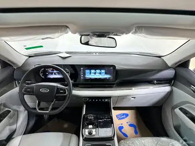 تيرتوري تريند 2025 11