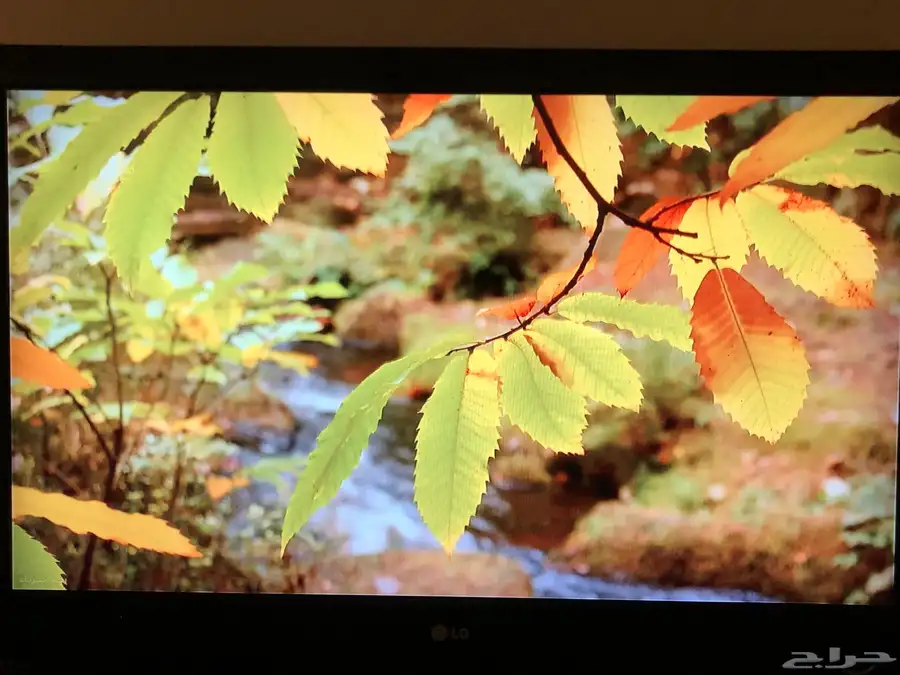شاشه للبيع شركة LG 1