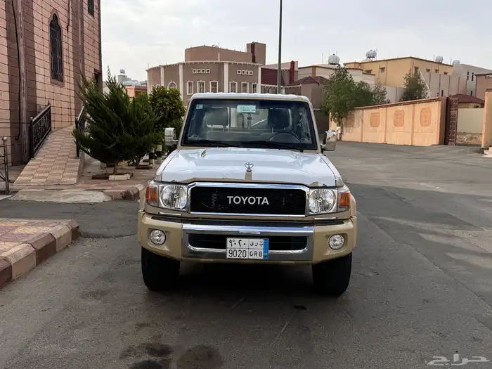 شاص 2020 مخززن رفرف 0