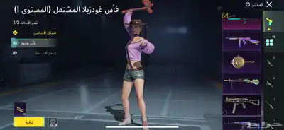 حساب ببجي 4