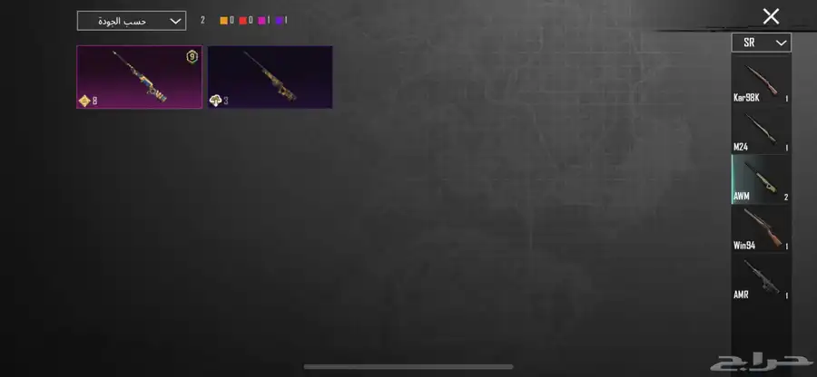 حساب ببجي للبيع 31