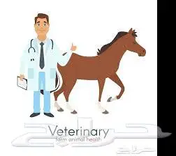 طبيب بيطري حديث التخرج 3