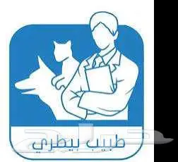 طبيب بيطري حديث التخرج 2