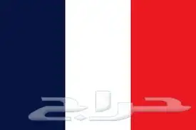 تعليم لغة فرنسيه قناة تلقرام 20 ريال فقط 0