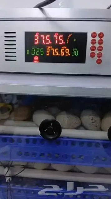 فقاسة نظام اروبي 0