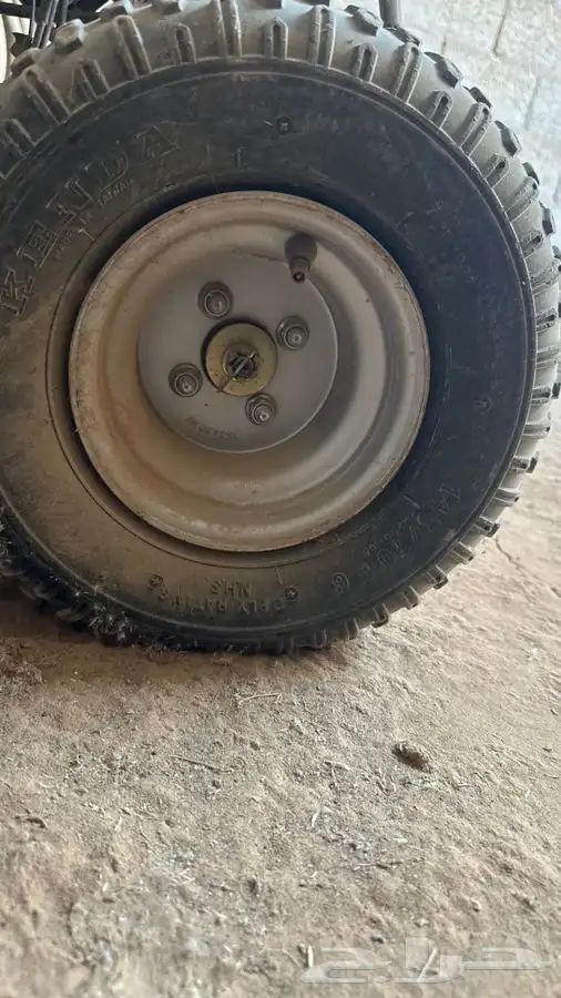 دباب تايواني 8