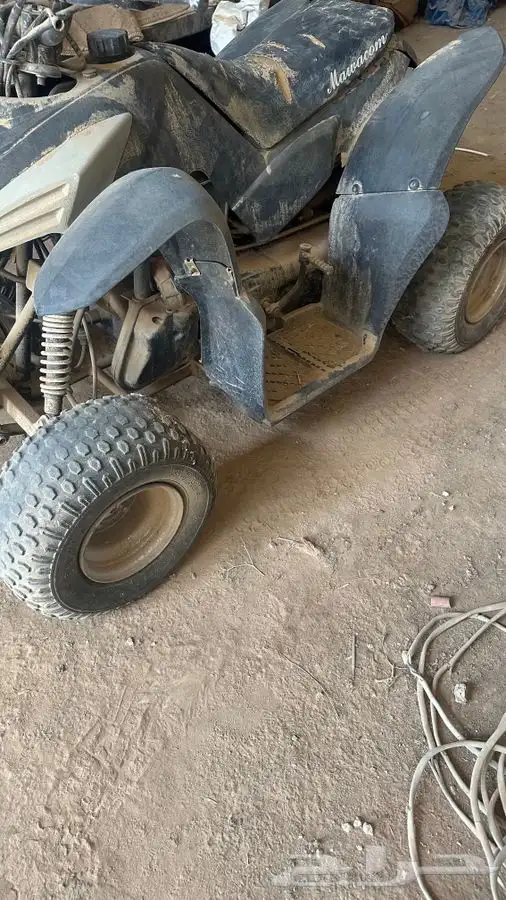 دباب تايواني 1