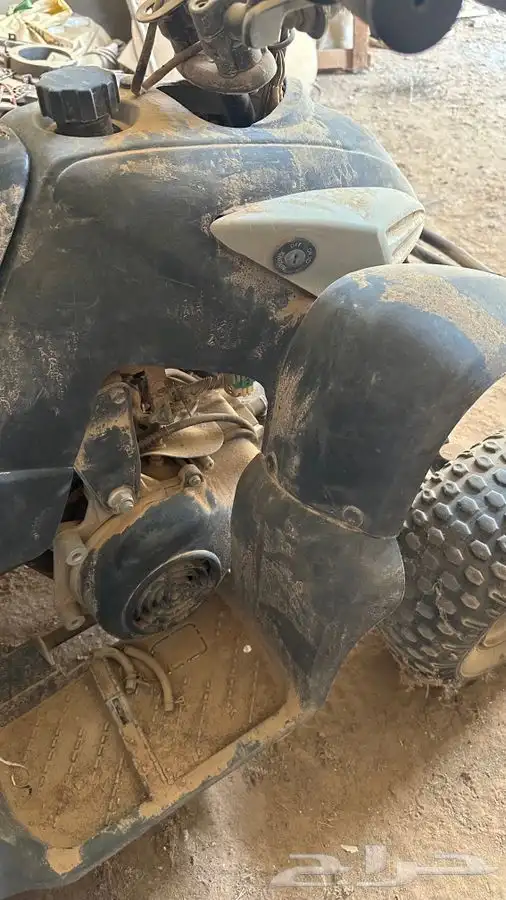 دباب تايواني 3