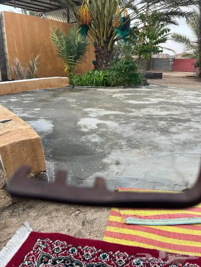 مفتاح باب خشب قديم له اكثر من مية عام (100)عام 2