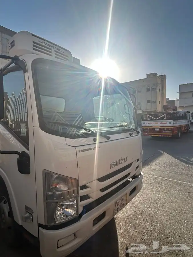 دينا 2023 9
