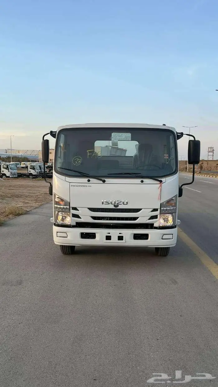 دينا 2025 1