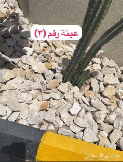 حجر نهري زينة الحدائقة 9