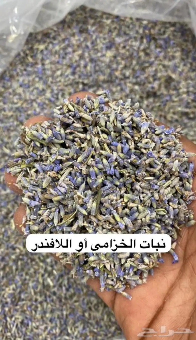 سدر وحنا ينبع النخل عضوي بدون إضافات 15