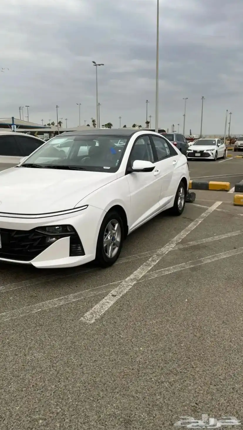 كداد توصيل من نيوم او ضباء إلى جدة 0