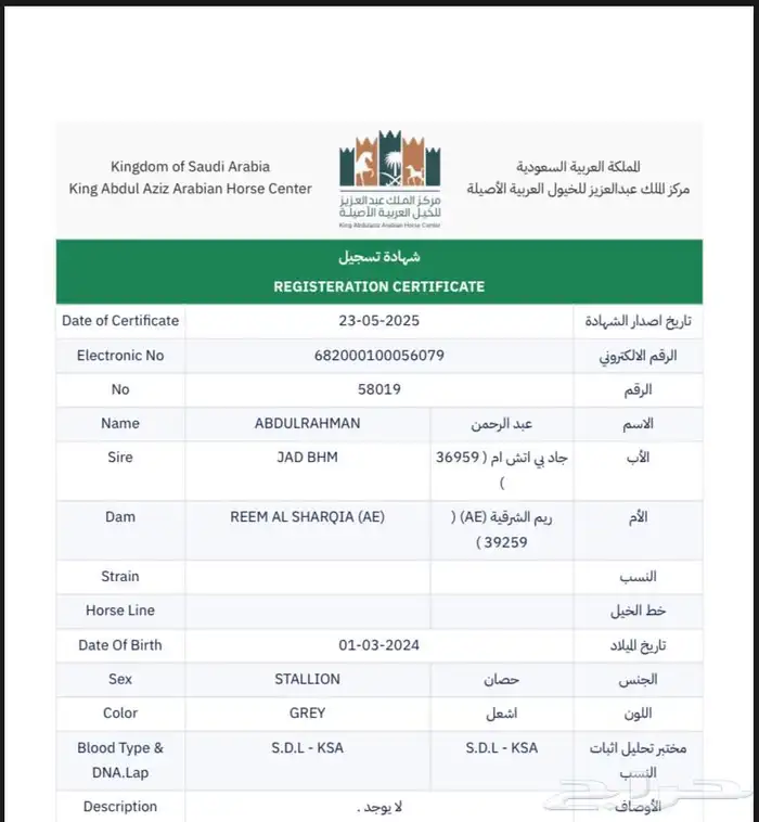 مهر مكس جمال عربي اصيل السوم 1500 فقط 3