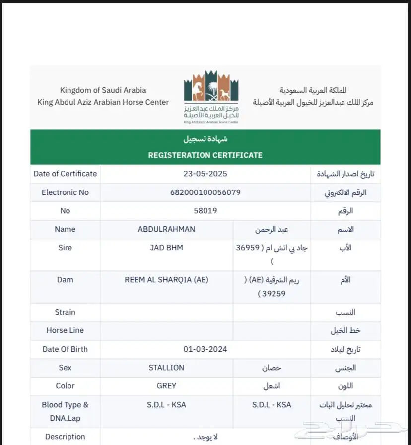 مهر مكس جمال عربي اصيل السوم 1500 فقط index