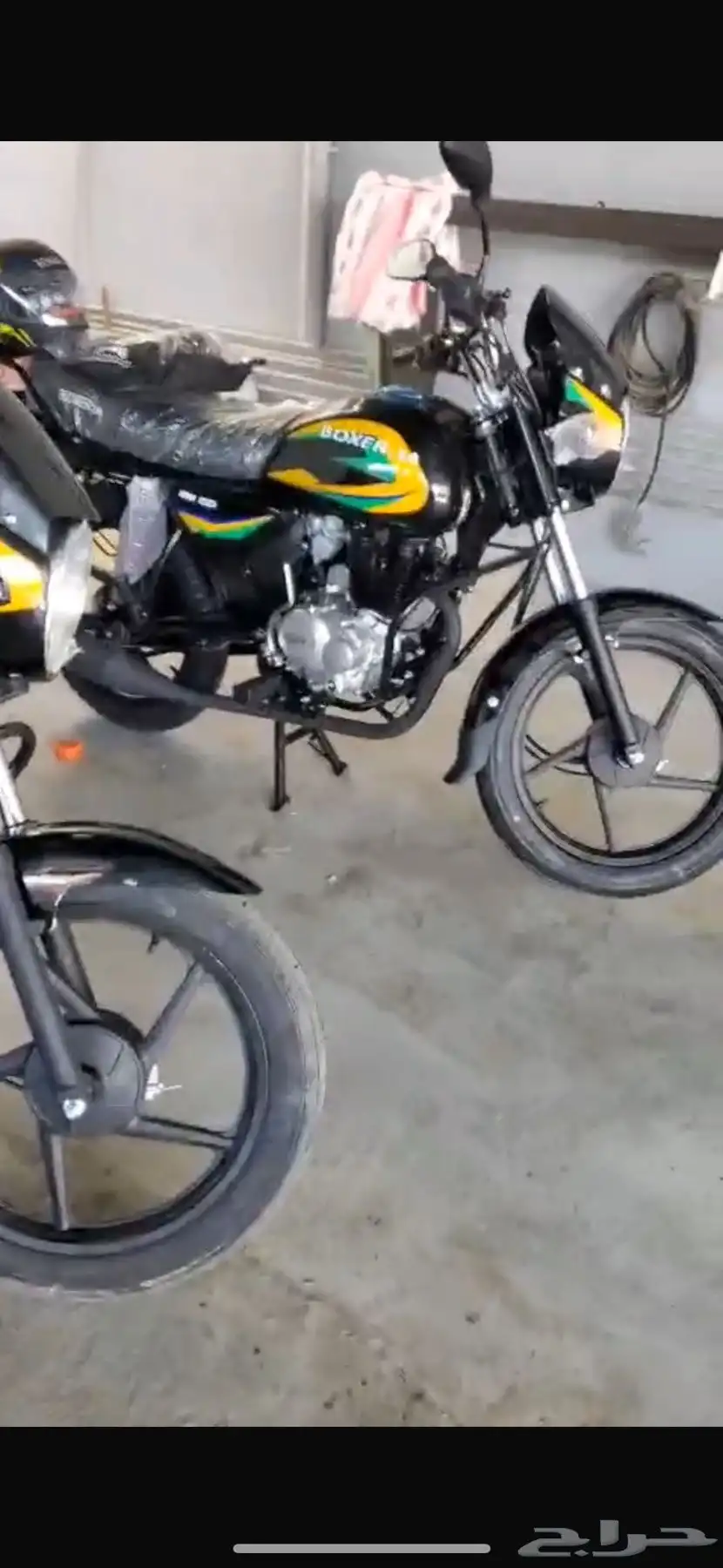 boxer 0