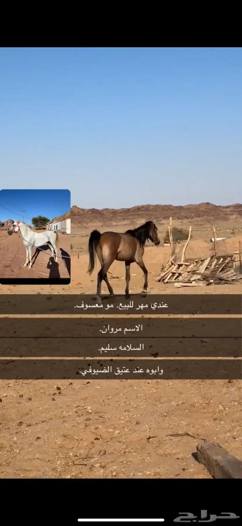 مهر 0