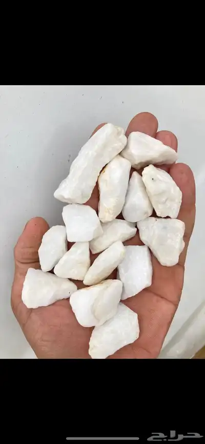 حجر نهري زينة الحدائقة 25