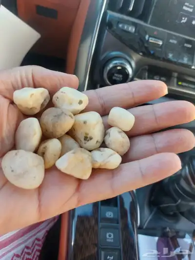 حجر نهري زينة الحدائقة 39