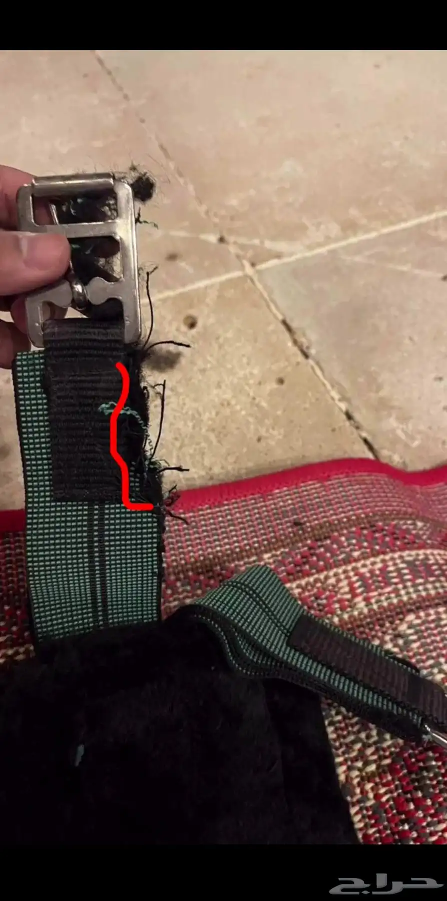 للبيع سرج لم يستخدم ب كامل اغراضه index