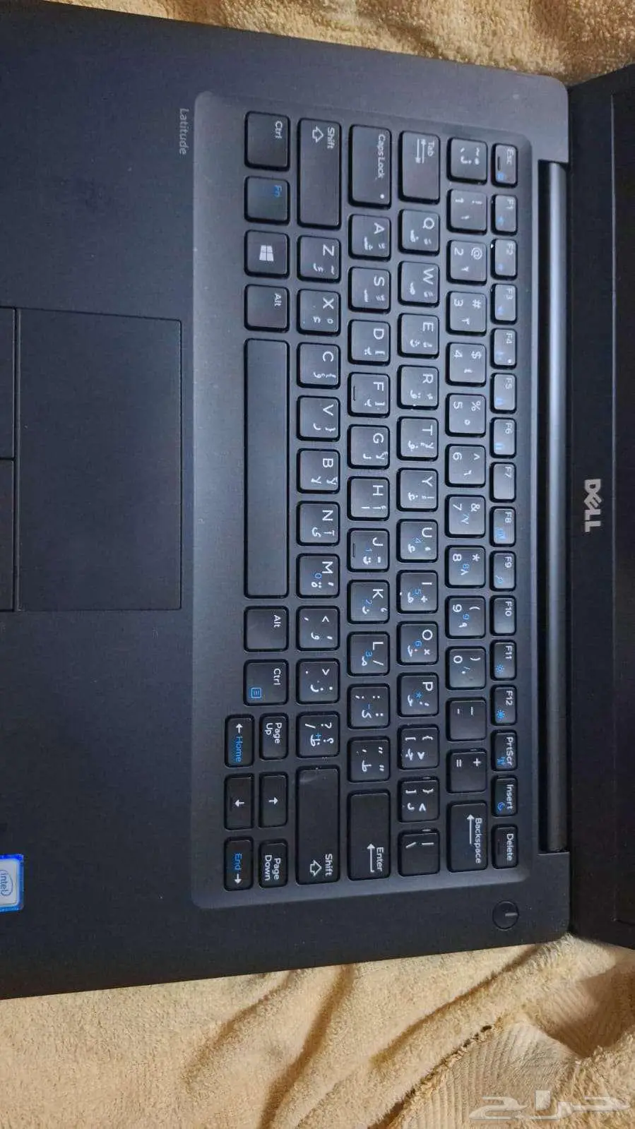 لاب توب دل (DELL) نظيف index