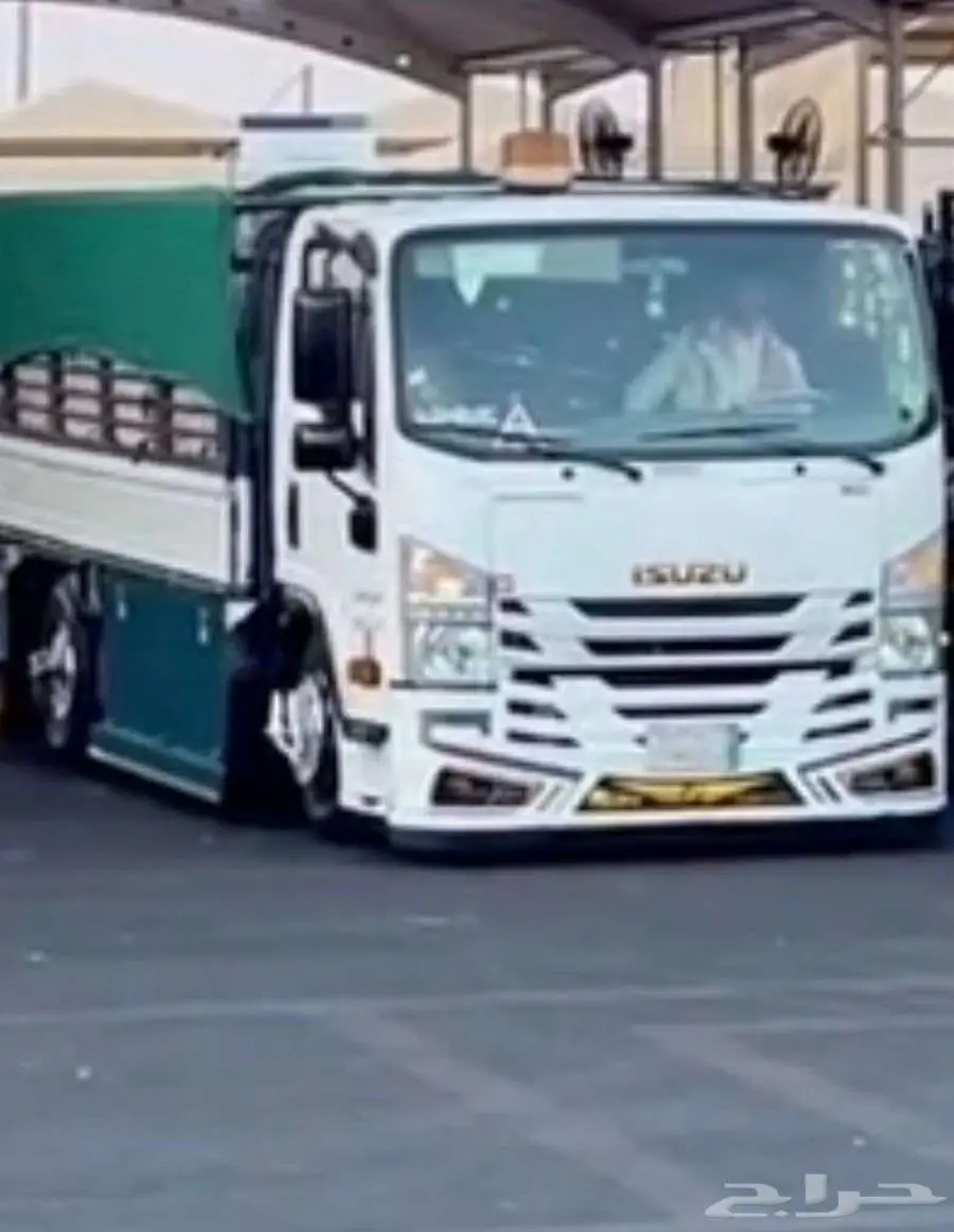 ا دنا دينه نقل دينا جامبو دينه مستلزمات 0