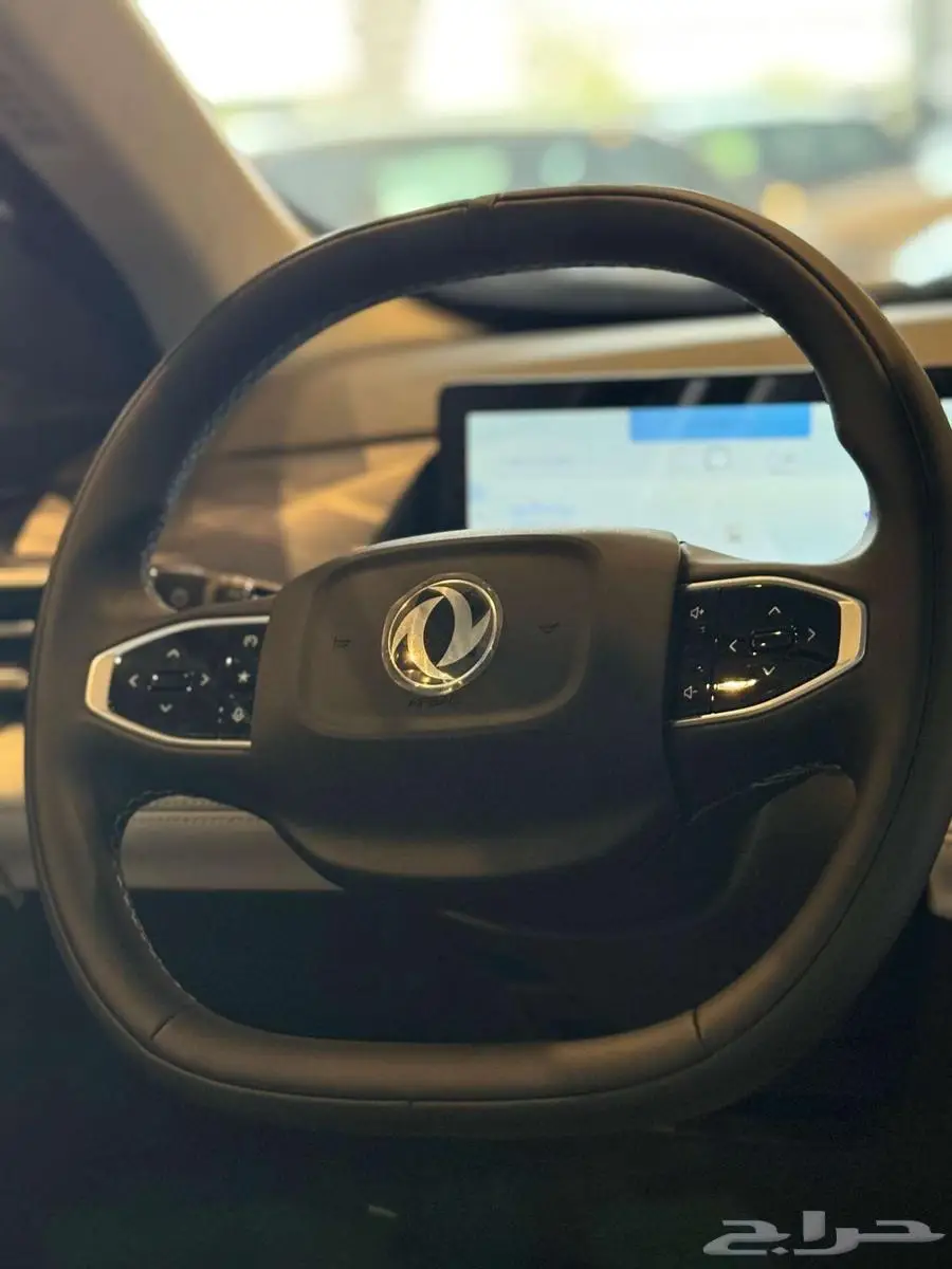 دونج فينج ميج 2025 15