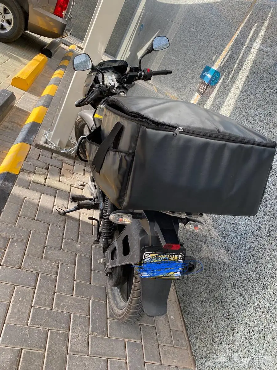 pulsar model2022 0