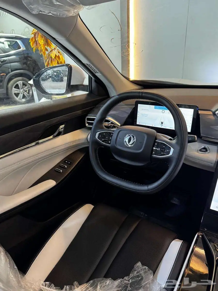 دونج فينج 2025 21