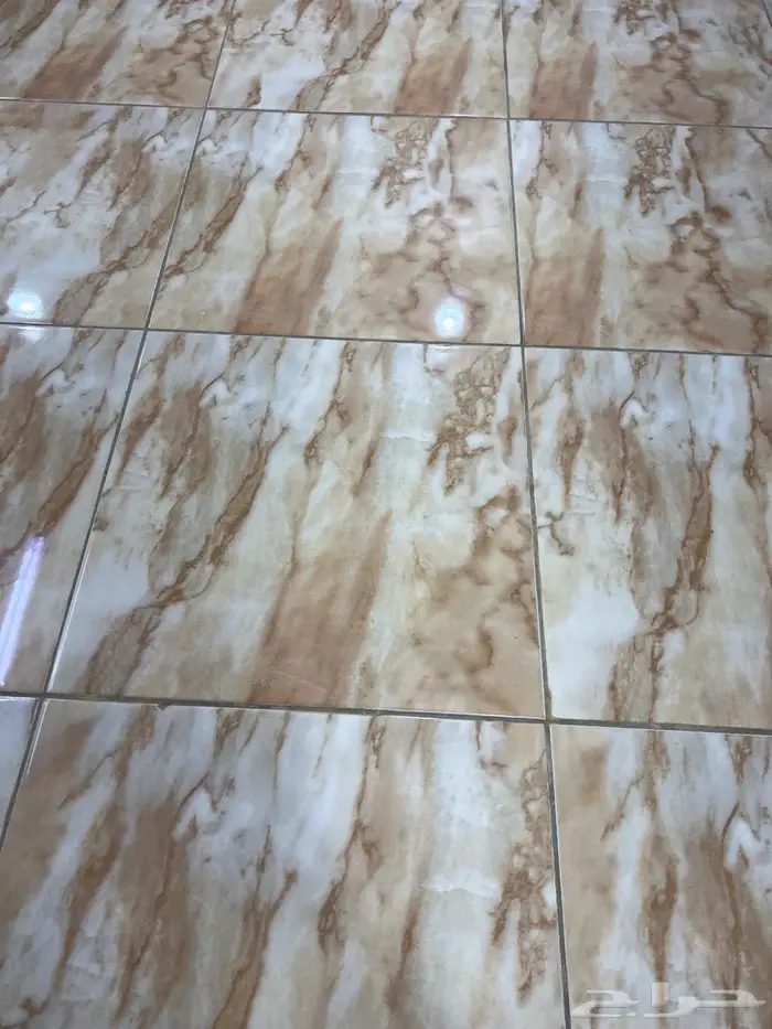 راجع من الرياض للقصيم نقل اغراض 0