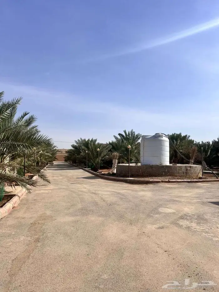 مزرعة للايجار 170 الف بالسنة 32