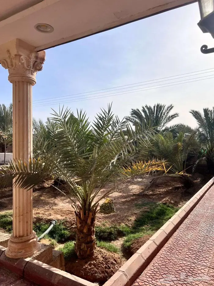 مزرعة للايجار 170 الف بالسنة 14