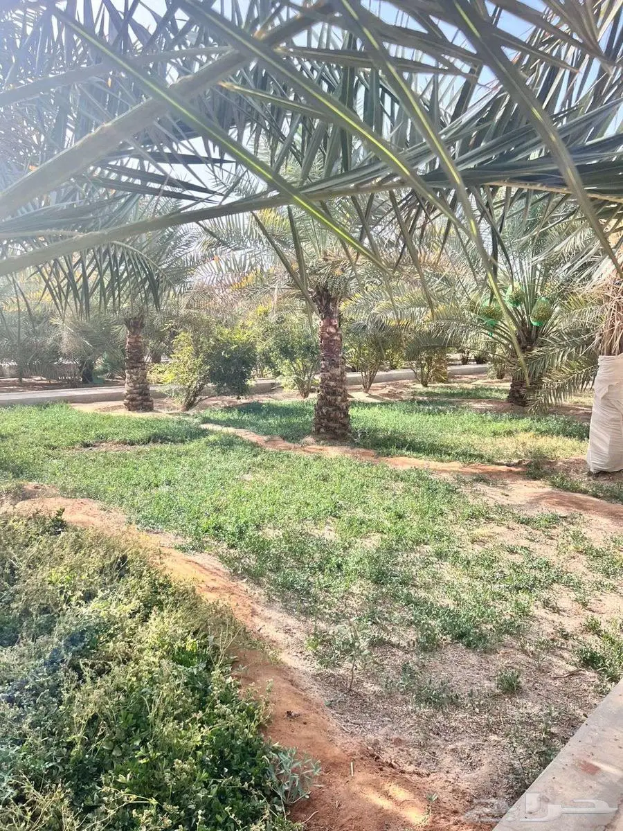 مزرعة للايجار index
