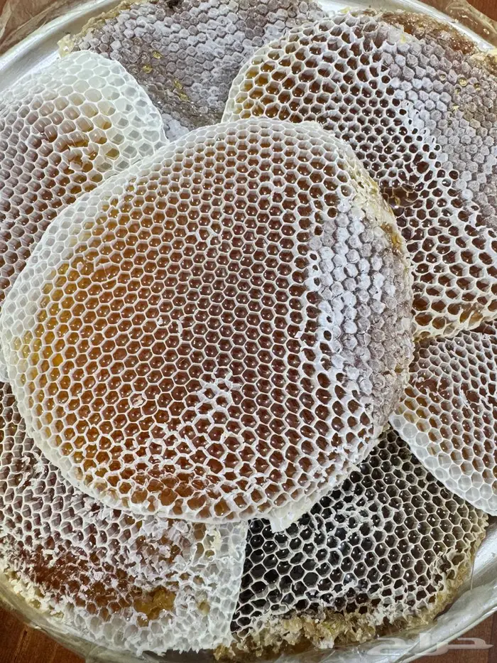 عسل سدر للبيع 1