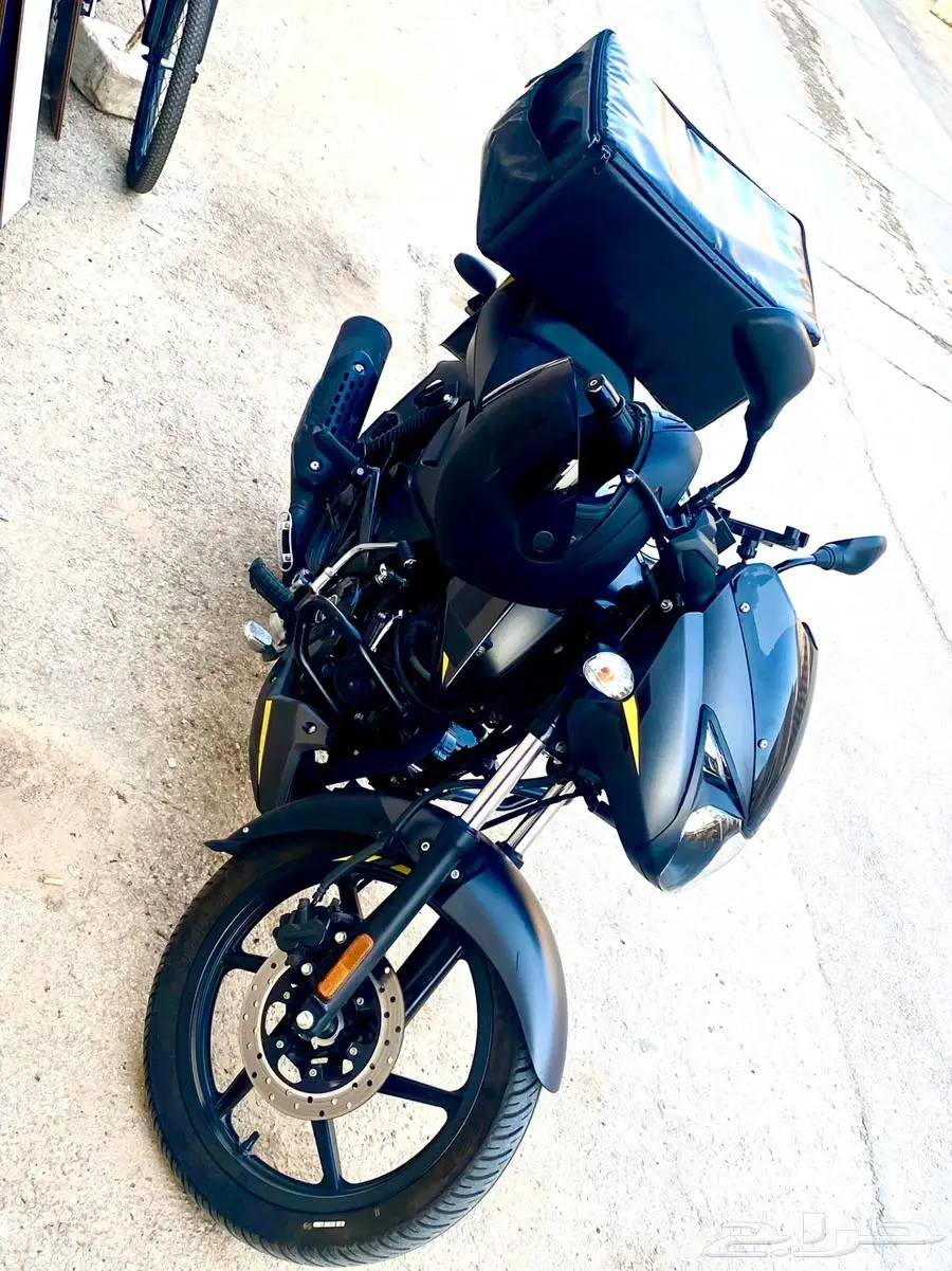 pulsar model2022 1