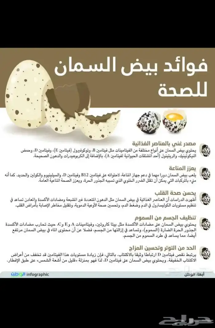 بيض سمان فري مخصب ومايده 1