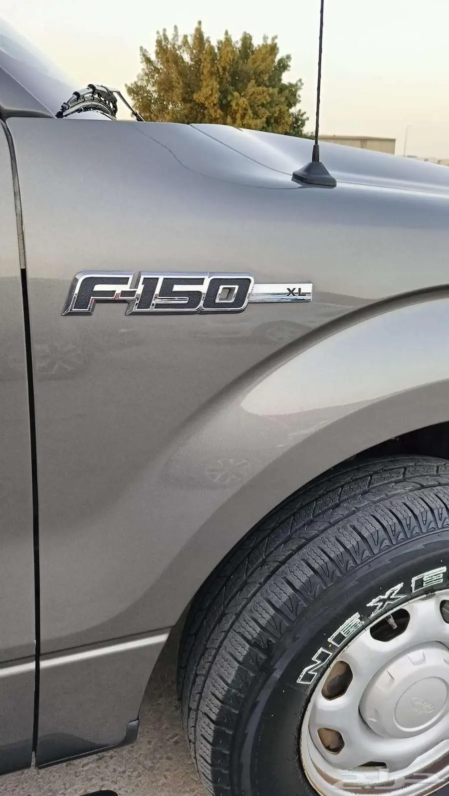 فورد f150 موديل 2014 14