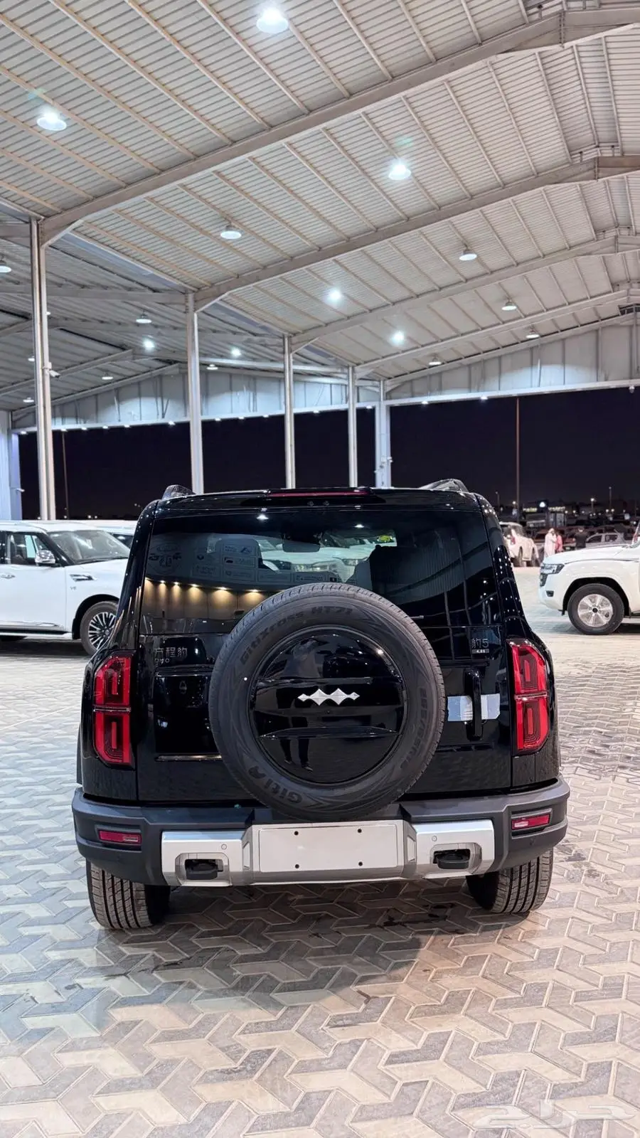 BYD ليو بارد 5  2025 16