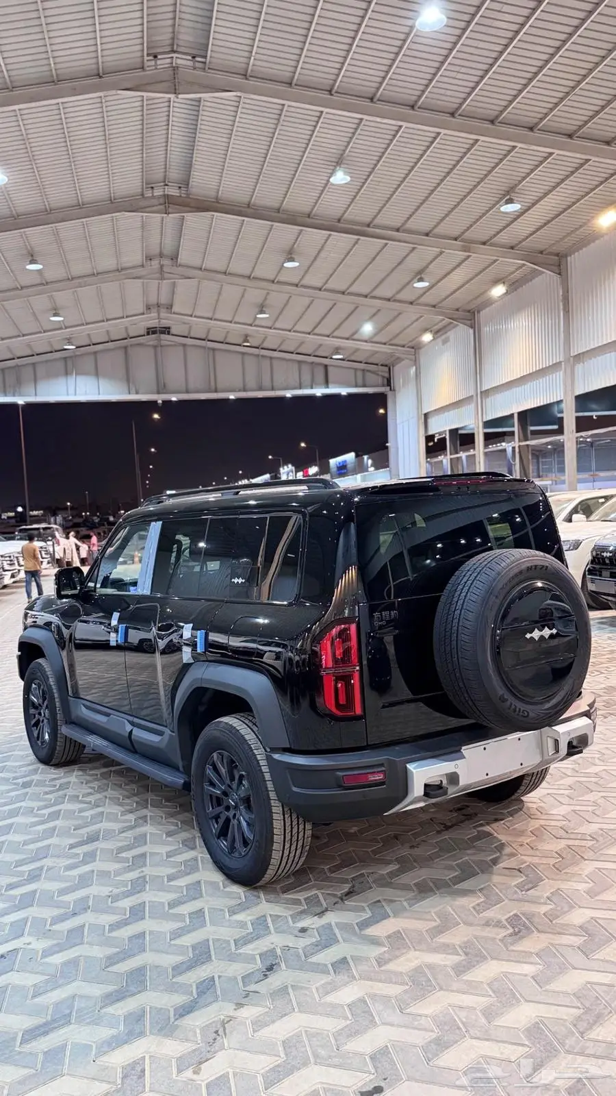 BYD ليو بارد 5  2025 14