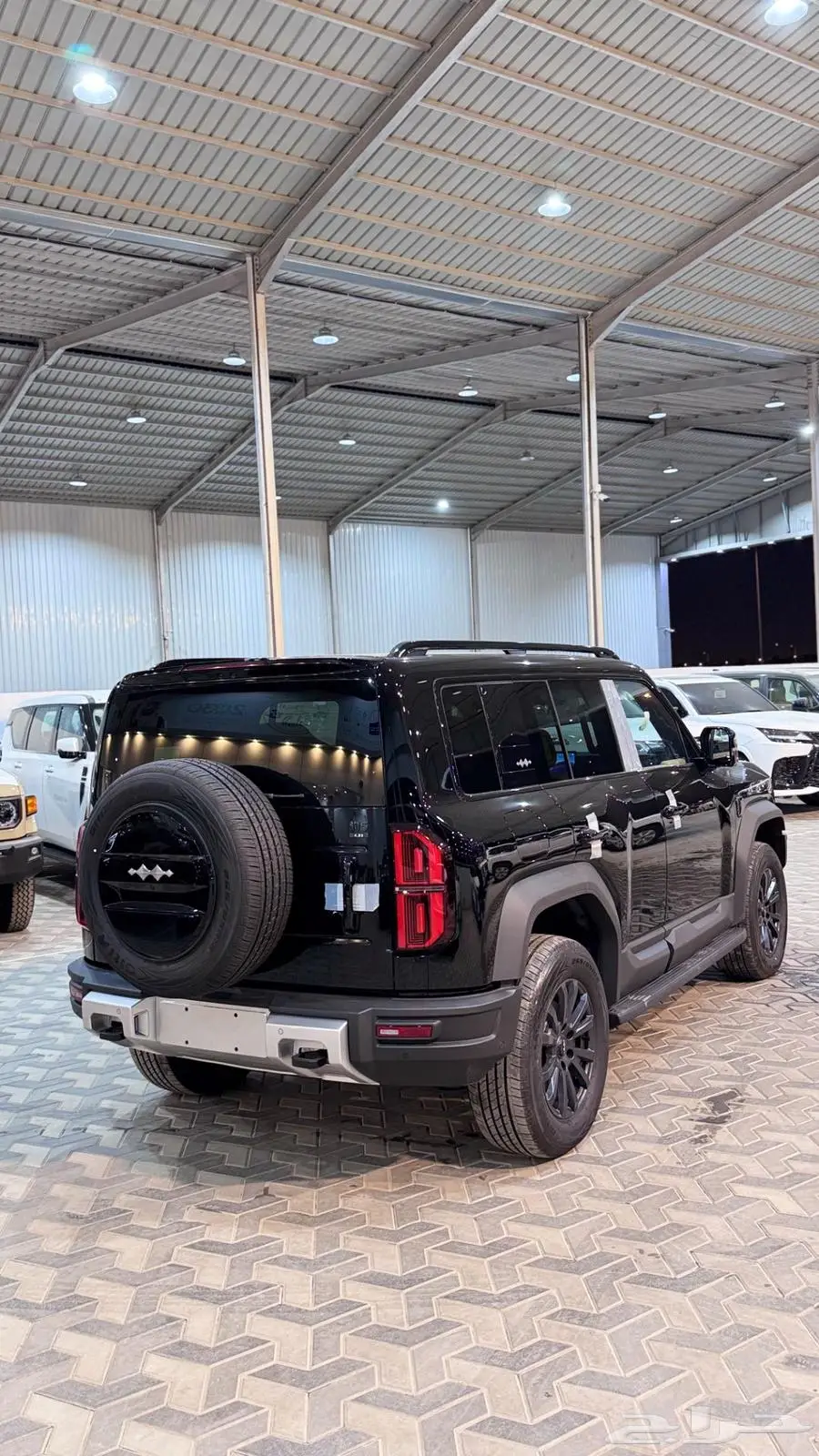BYD ليو بارد 5  2025 15