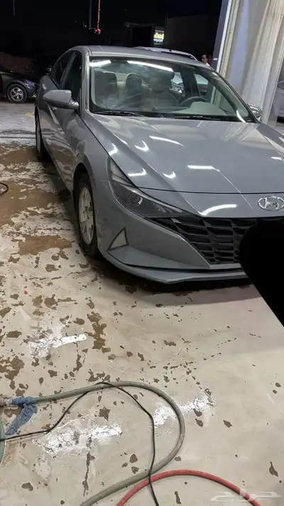 النترا2023 4