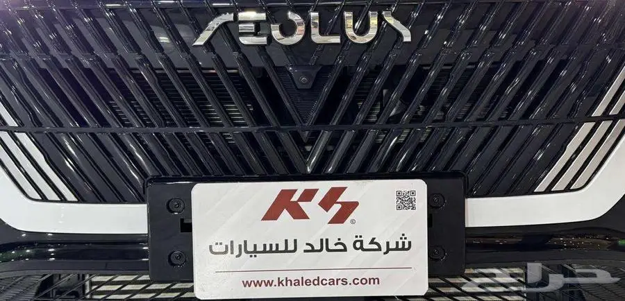 دونج فينج 2025 29