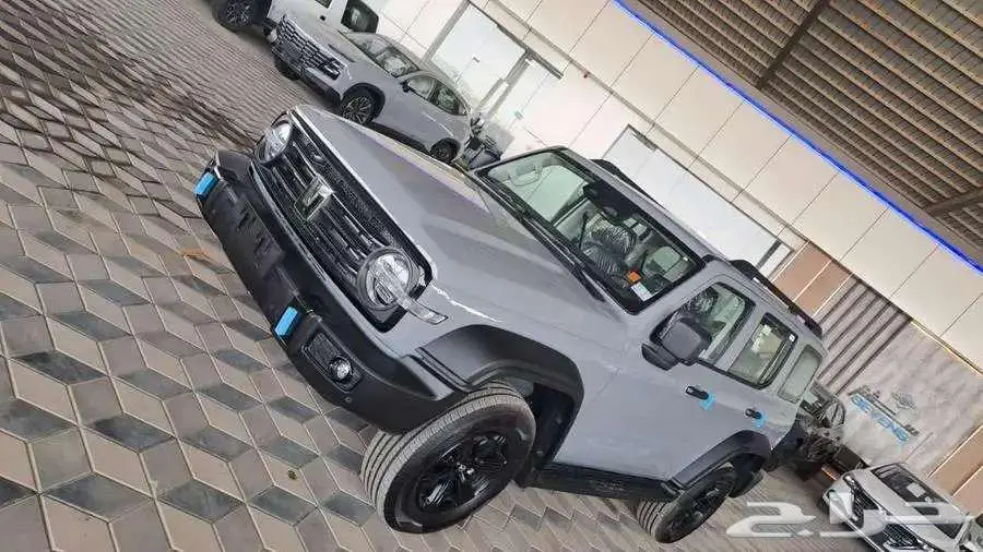 عرض خاص تانك 300 موديل 2025 9