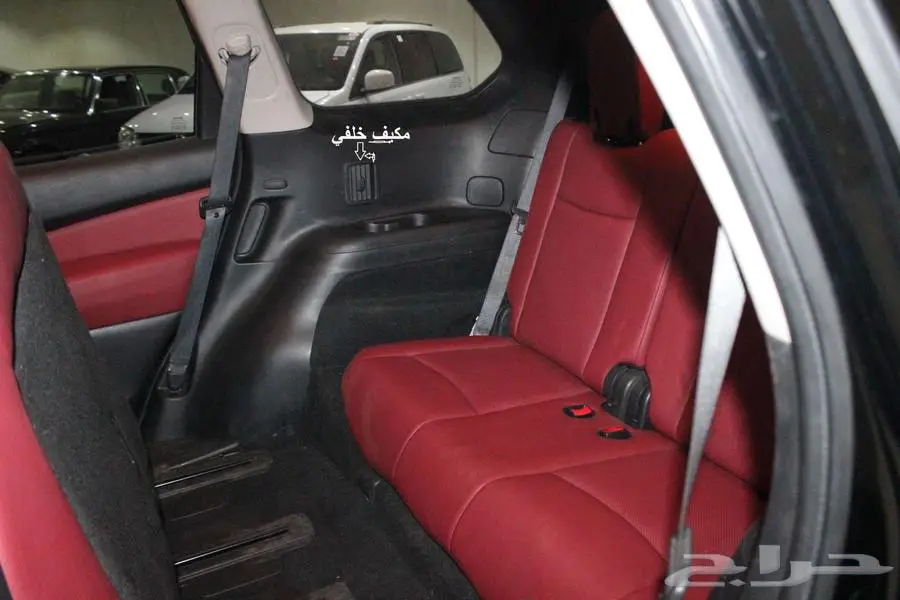 باثفندر 2020 بطاقة جمركية امريكي بوية بلدها 19