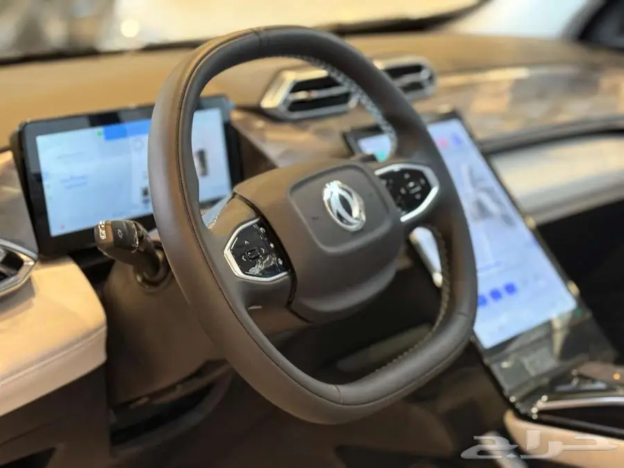 دونج فينج ميج 2025 12