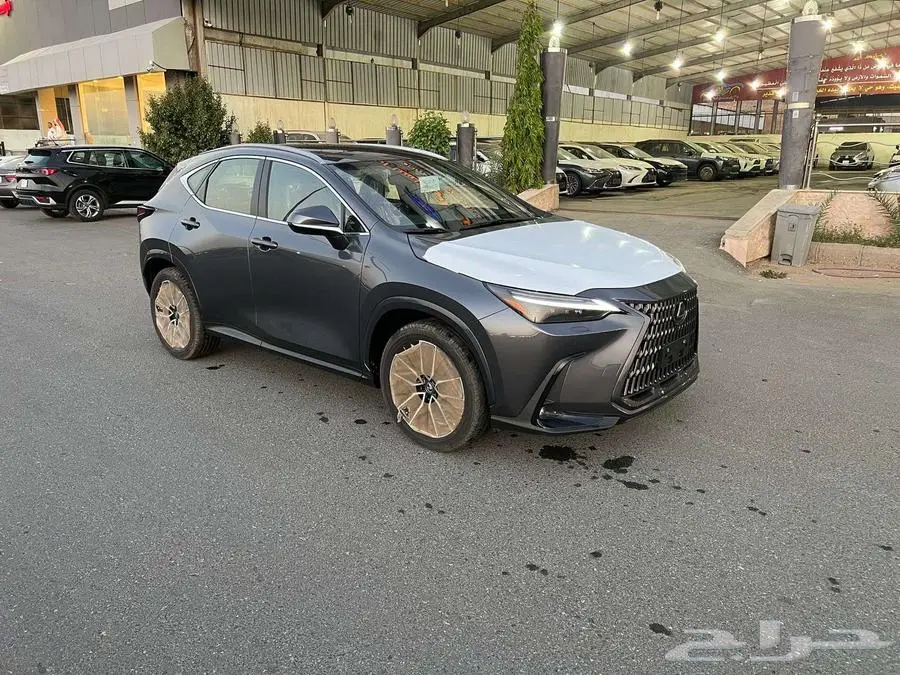 تصفيه NX350 Ch - سعودي اصفار هايبرد فل بانوراما2023 index