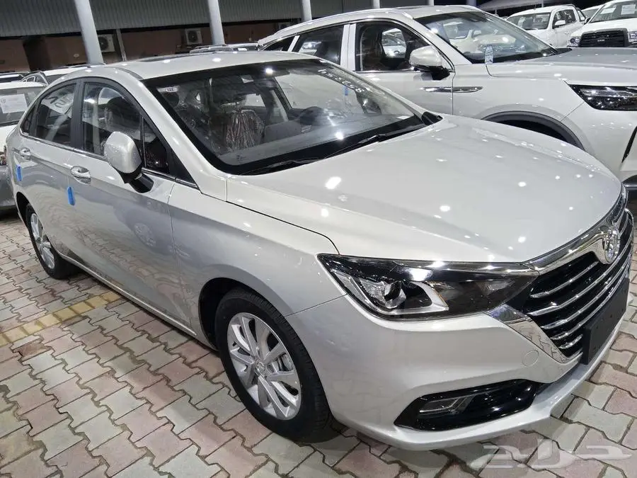 بايك D50 2025 HON0R index