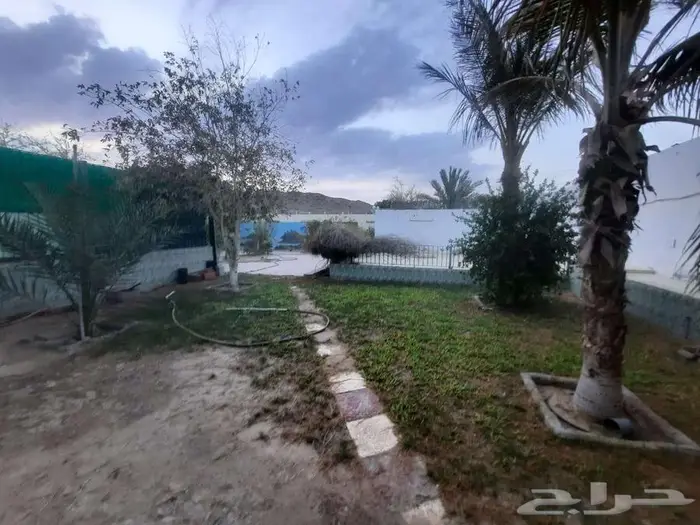 ارض واستراحه للبيع في الاجواد جده 3